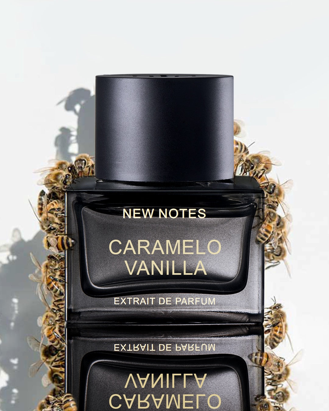 New Notes Parfums – La Jetée