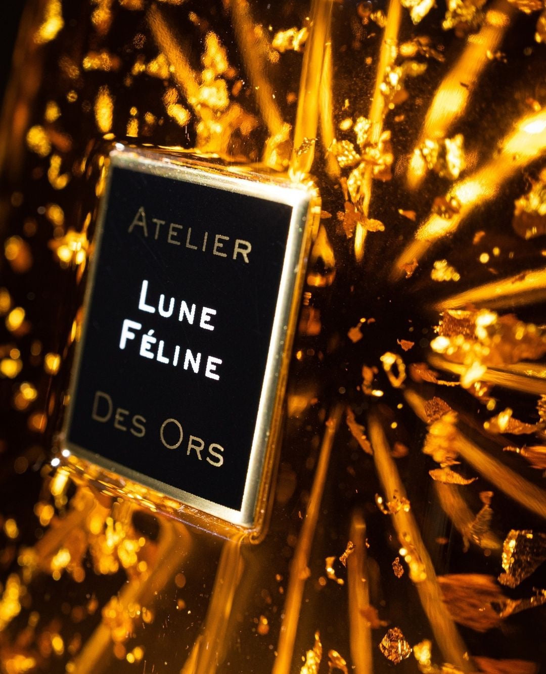 ATELIER DES shops ORS LUNE FELINE